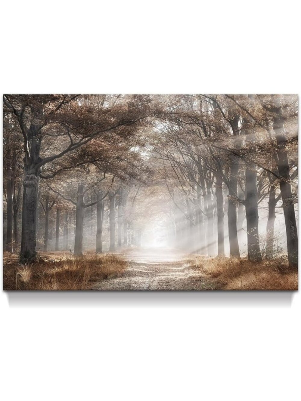 Large Fall Tree Canvas Wall Art - Autumn Landscape Print for Living Room